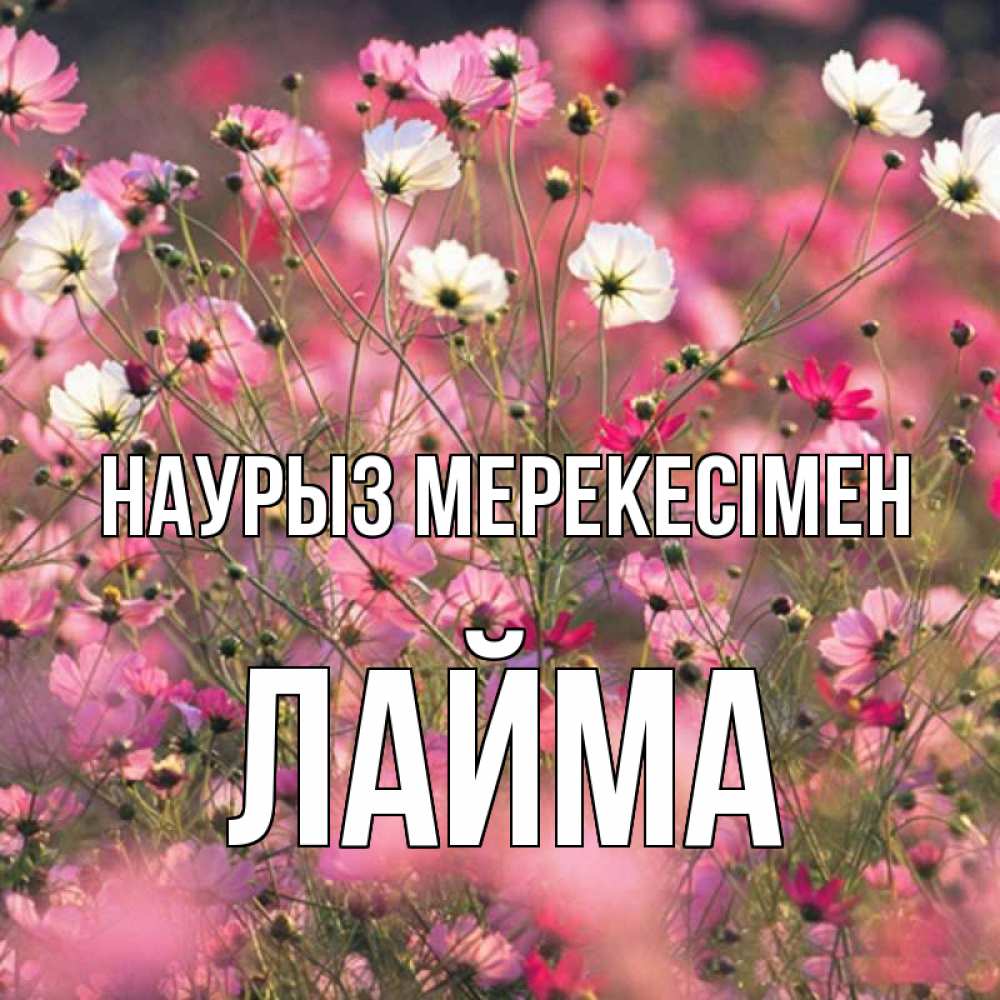 Күн сайын ашық хат с именем, Лайма Наурыз мерекесімен красиво 1 Онлайн тегін жүктеп алу тілектері бар керемет карта 