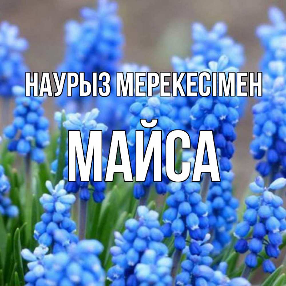 Күн сайын ашық хат с именем, МАЙСА Наурыз мерекесімен Поздравительная открытка для женщин с цветами на праздничную дату Онлайн тегін жүктеп алу тілектері бар керемет карта 