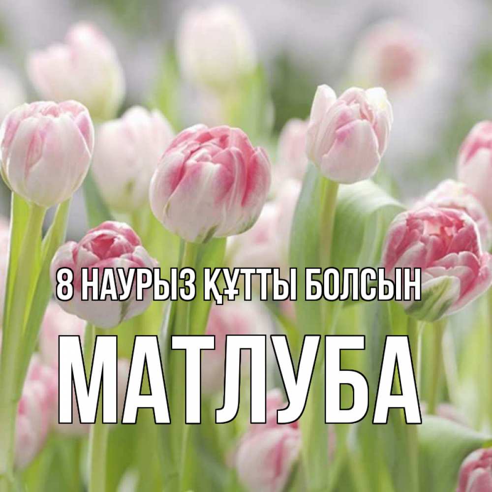Күн сайын ашық хат с именем, МАТЛУБА 8 наурыз құтты болсын цветы Онлайн тегін жүктеп алу тілектері бар керемет карта 