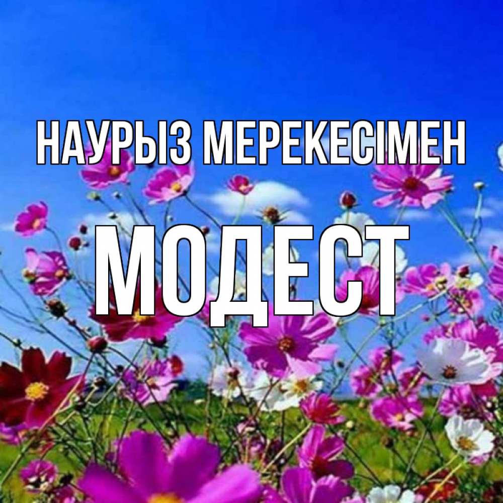 Күн сайын ашық хат с именем, Модест Наурыз мерекесімен цветы Онлайн тегін жүктеп алу тілектері бар керемет карта 