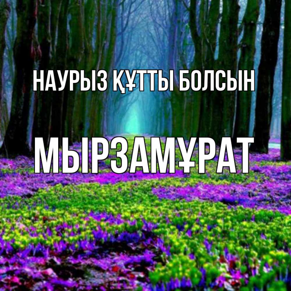 Күн сайын ашық хат с именем, Мырзамұрат Наурыз құтты болсын фиолетовые цветы в лесу 1 Онлайн тегін жүктеп алу тілектері бар керемет карта 