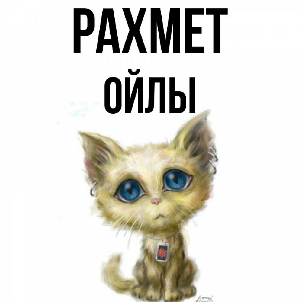 Күн сайын ашық хат с именем, ОЙЛЫ рахмет рисованный кот благодарит вас Онлайн тегін жүктеп алу тілектері бар керемет карта 