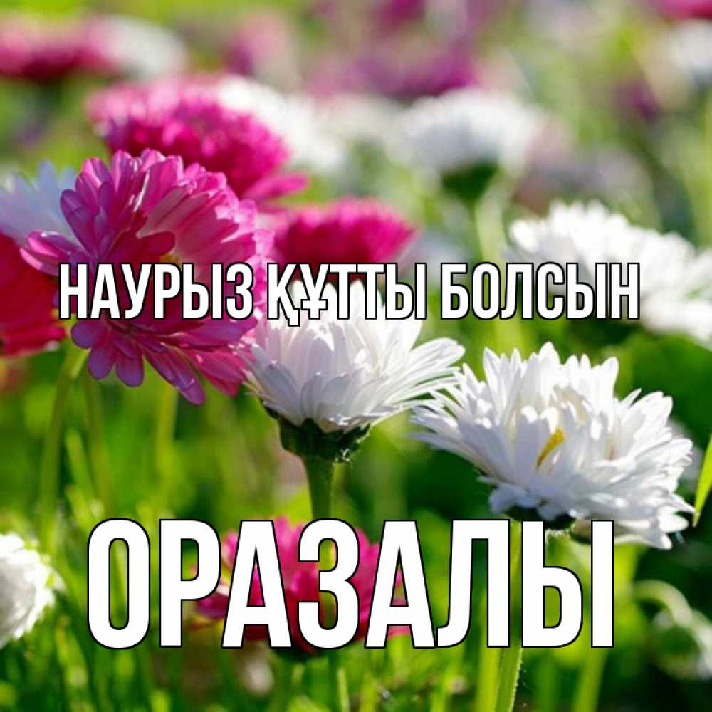 Күн сайын ашық хат с именем, ОРАЗАЛЫ Наурыз құтты болсын наурыз Онлайн тегін жүктеп алу тілектері бар керемет карта 