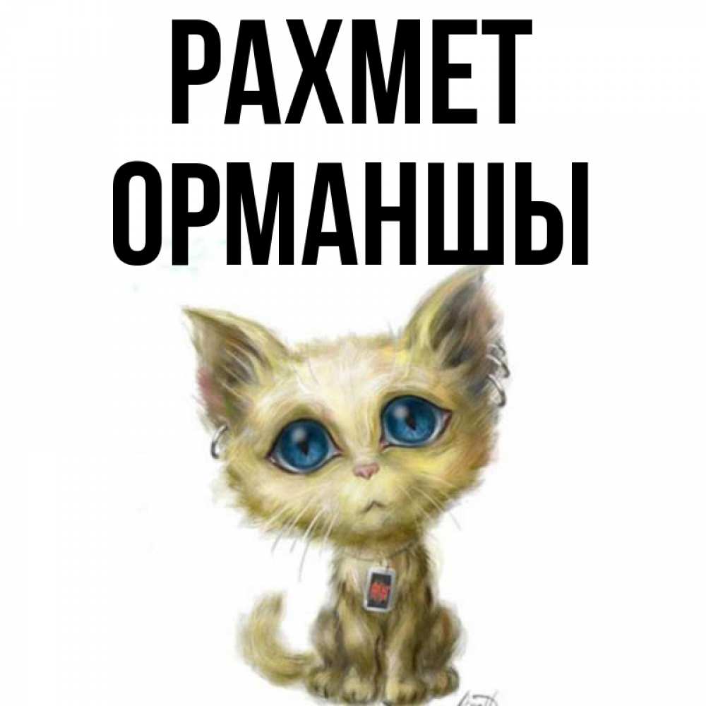 Күн сайын ашық хат с именем, ОРМАНШЫ рахмет рисованный кот благодарит вас Онлайн тегін жүктеп алу тілектері бар керемет карта 