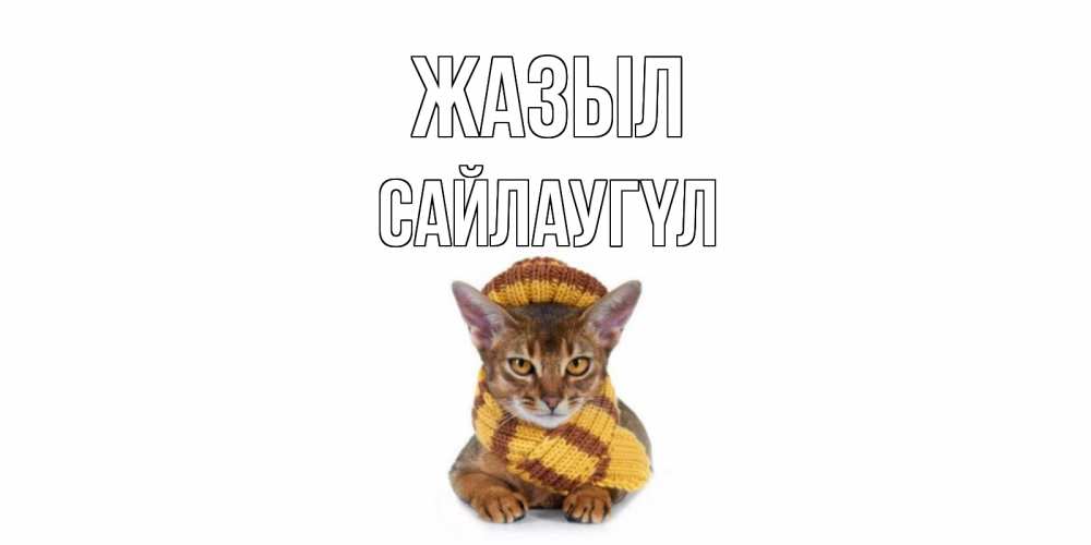 Күн сайын ашық хат с именем, САЙЛАУГҮЛ Жазыл родные не болейте Онлайн тегін жүктеп алу тілектері бар керемет карта 