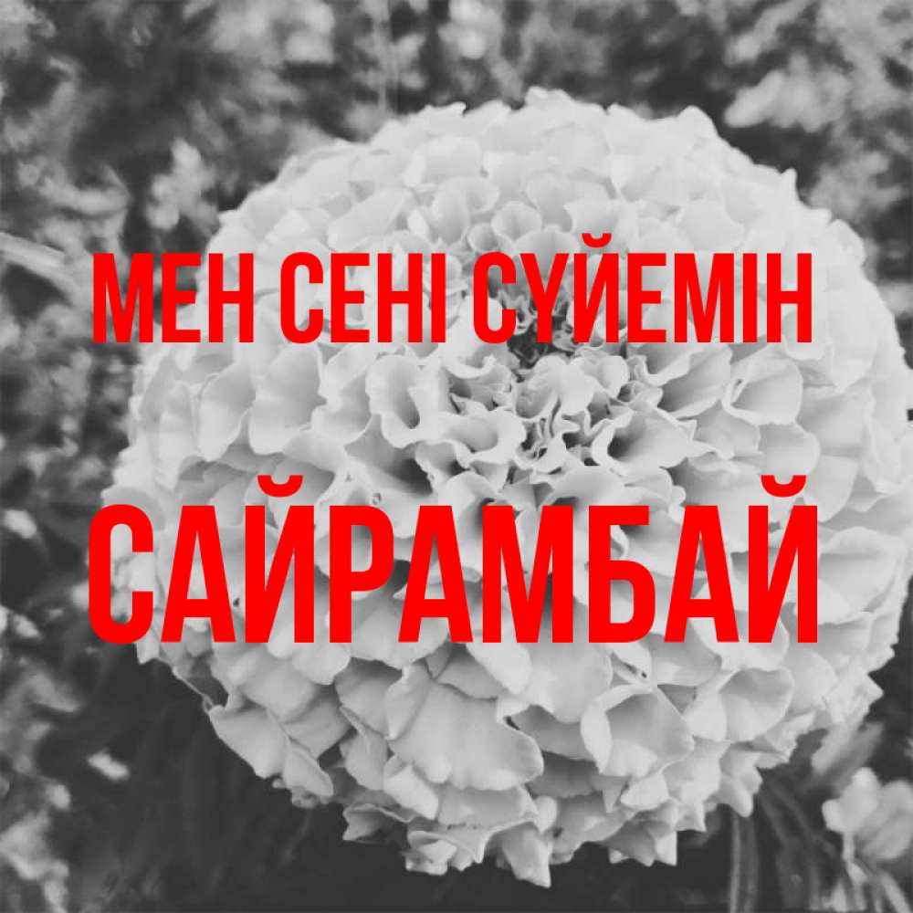 Күн сайын ашық хат с именем, САЙРАМБАЙ Мен сені сүйемін подпись Онлайн тегін жүктеп алу тілектері бар керемет карта 