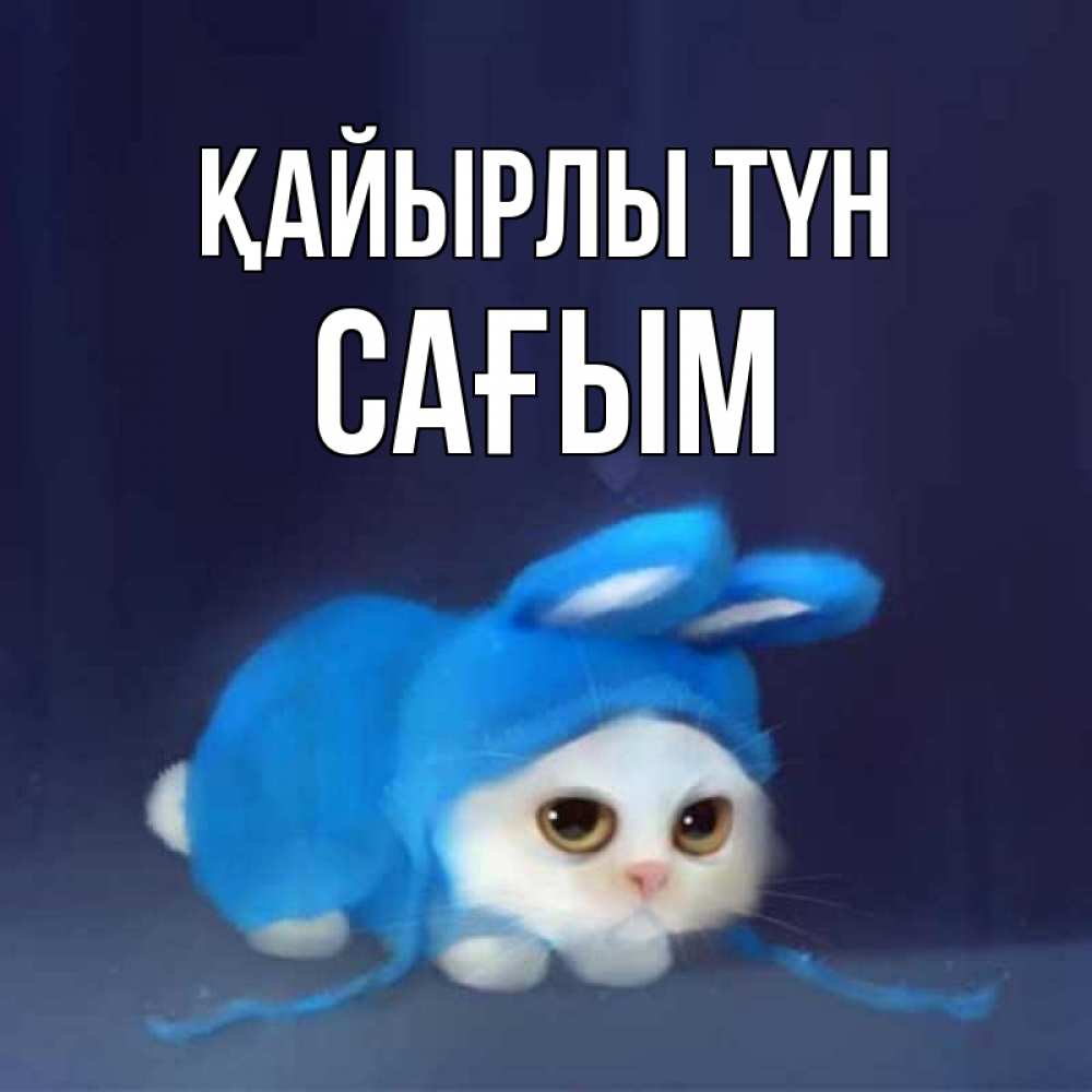 Күн сайын ашық хат с именем, САҒЫМ Қайырлы түн кот в голубом костюме кролика с ушками Онлайн тегін жүктеп алу тілектері бар керемет карта 
