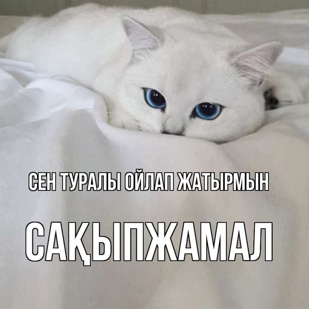 Күн сайын ашық хат с именем, САҚЫПЖАМАЛ Сен туралы ойлап жатырмын я очень по тебе скучаю и тоскую Онлайн тегін жүктеп алу тілектері бар керемет карта 