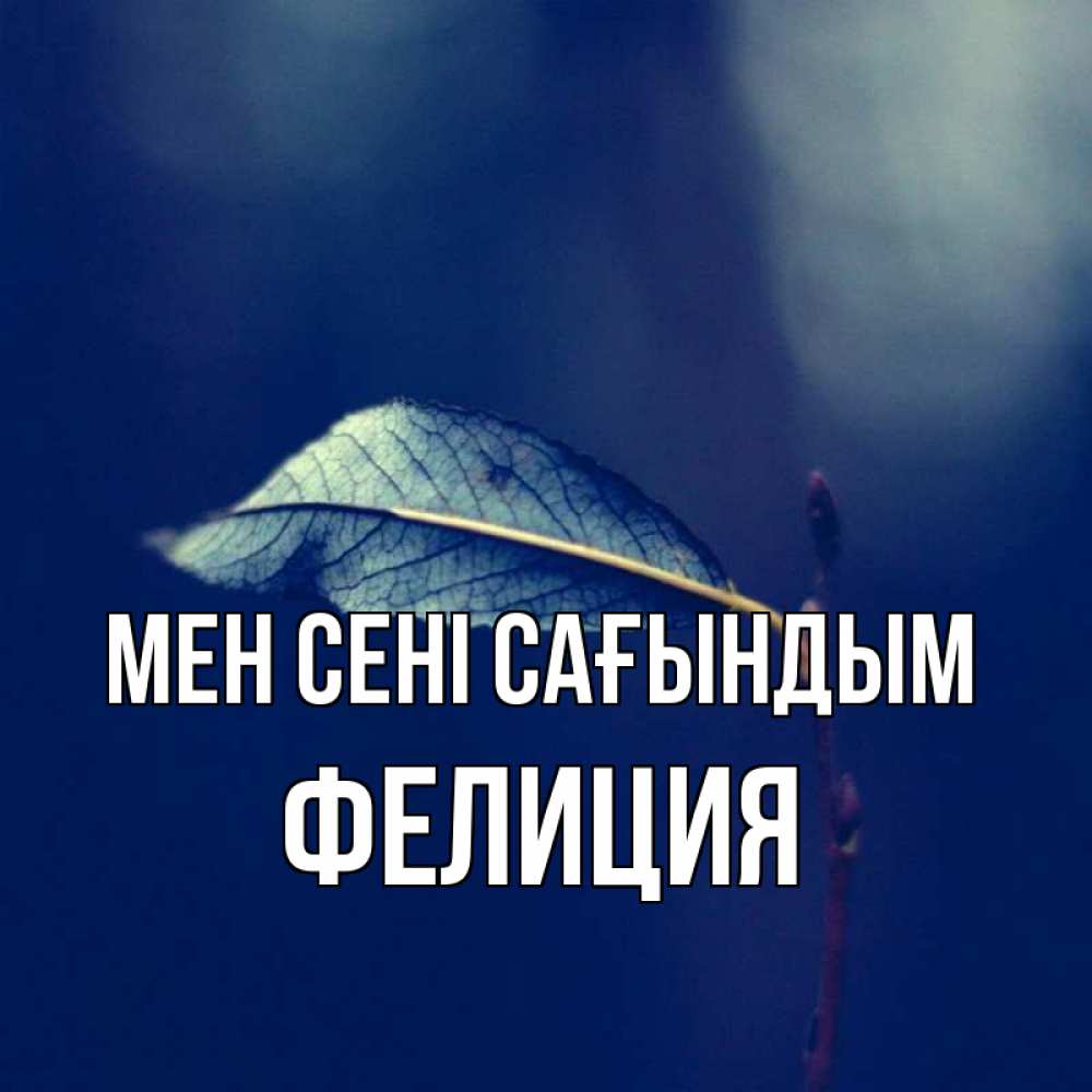 Күн сайын ашық хат с именем, Фелиция Мен сені сағындым одна ветка 1 Онлайн тегін жүктеп алу тілектері бар керемет карта 