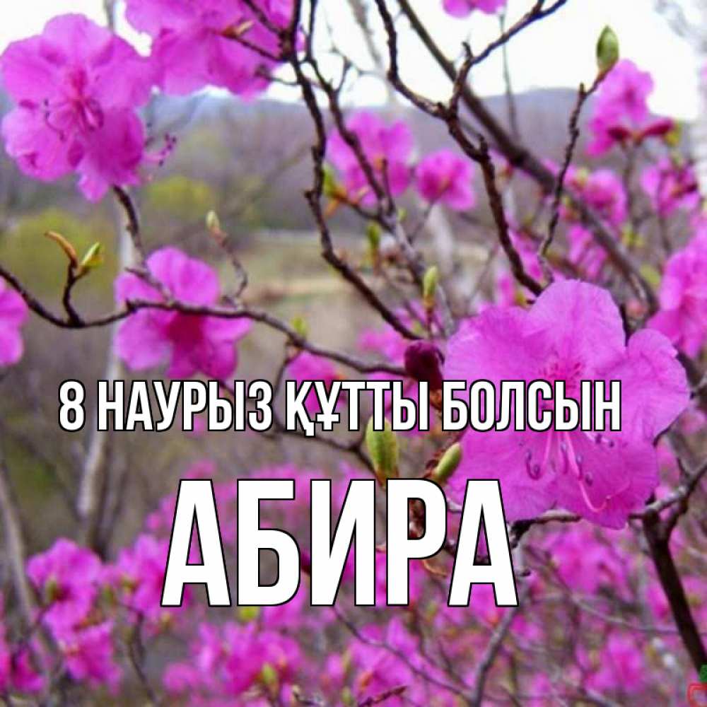 Күн сайын ашық хат с именем, АБИРА 8 наурыз құтты болсын международный женский день Онлайн тегін жүктеп алу тілектері бар керемет карта 