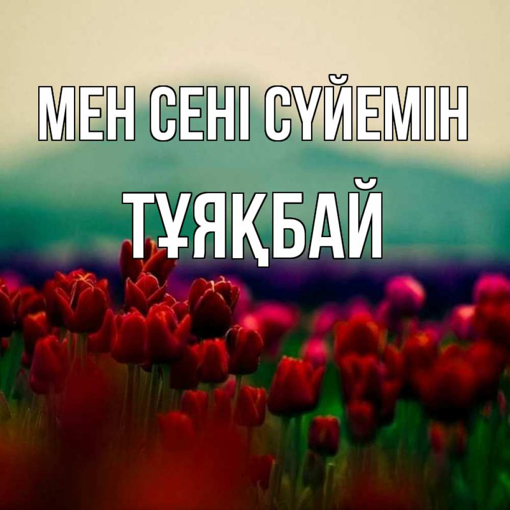 Күн сайын ашық хат с именем, ТҰЯҚБАЙ Мен сені сүйемін тюльпаны 4 Онлайн тегін жүктеп алу тілектері бар керемет карта 