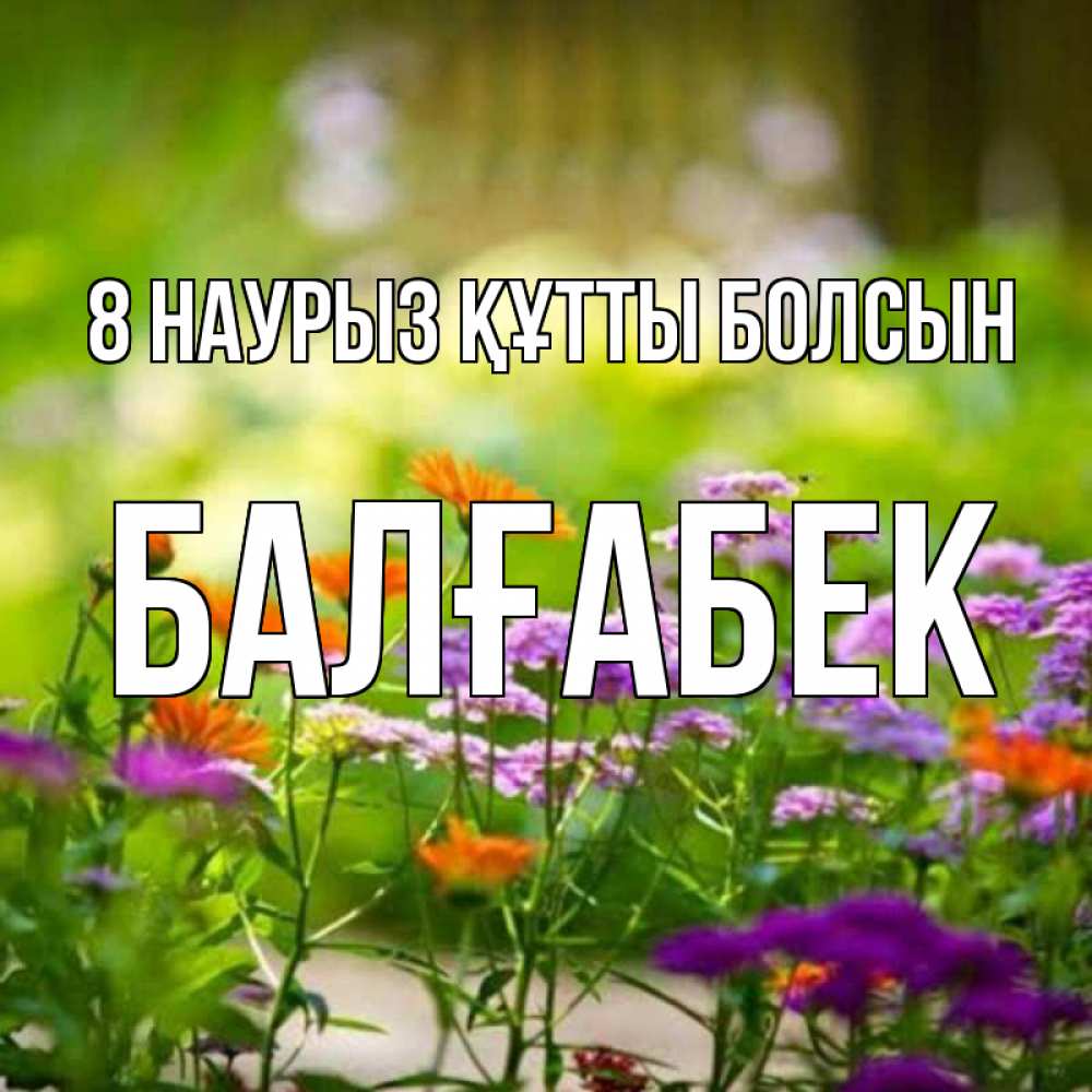Күн сайын ашық хат с именем, Балғабек 8 наурыз құтты болсын цветы Онлайн тегін жүктеп алу тілектері бар керемет карта 