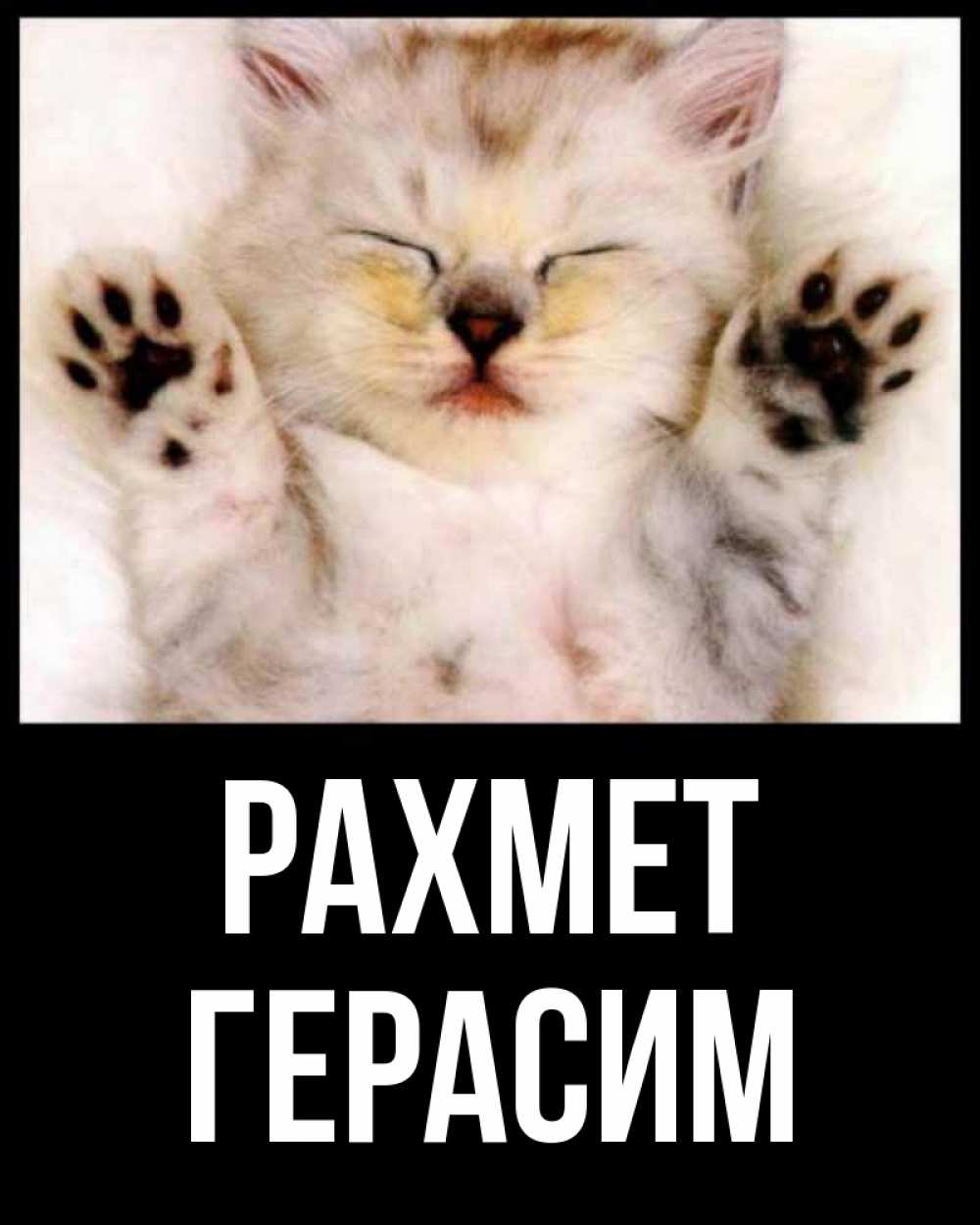 Күн сайын ашық хат с именем, Герасим рахмет маленький котенок Онлайн тегін жүктеп алу тілектері бар керемет карта 
