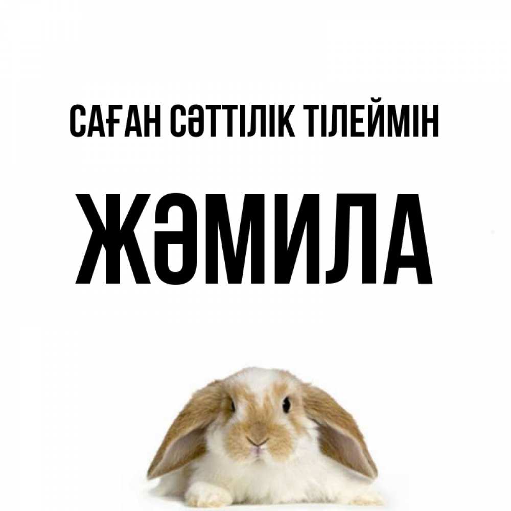 Күн сайын ашық хат с именем, ЖӘМИЛА Саған сәттілік тілеймін открытки с произвольным текстом который можно вставить в открытку и создать ее самостоятельно бесплатно онлайн Онлайн тегін жүктеп алу тілектері бар керемет карта 