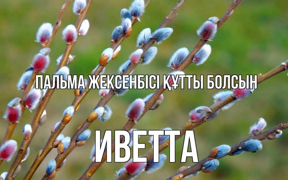 Күн сайын ашық хат с именем, Иветта Пальма жексенбісі құтты болсын верба Онлайн тегін жүктеп алу тілектері бар керемет карта 