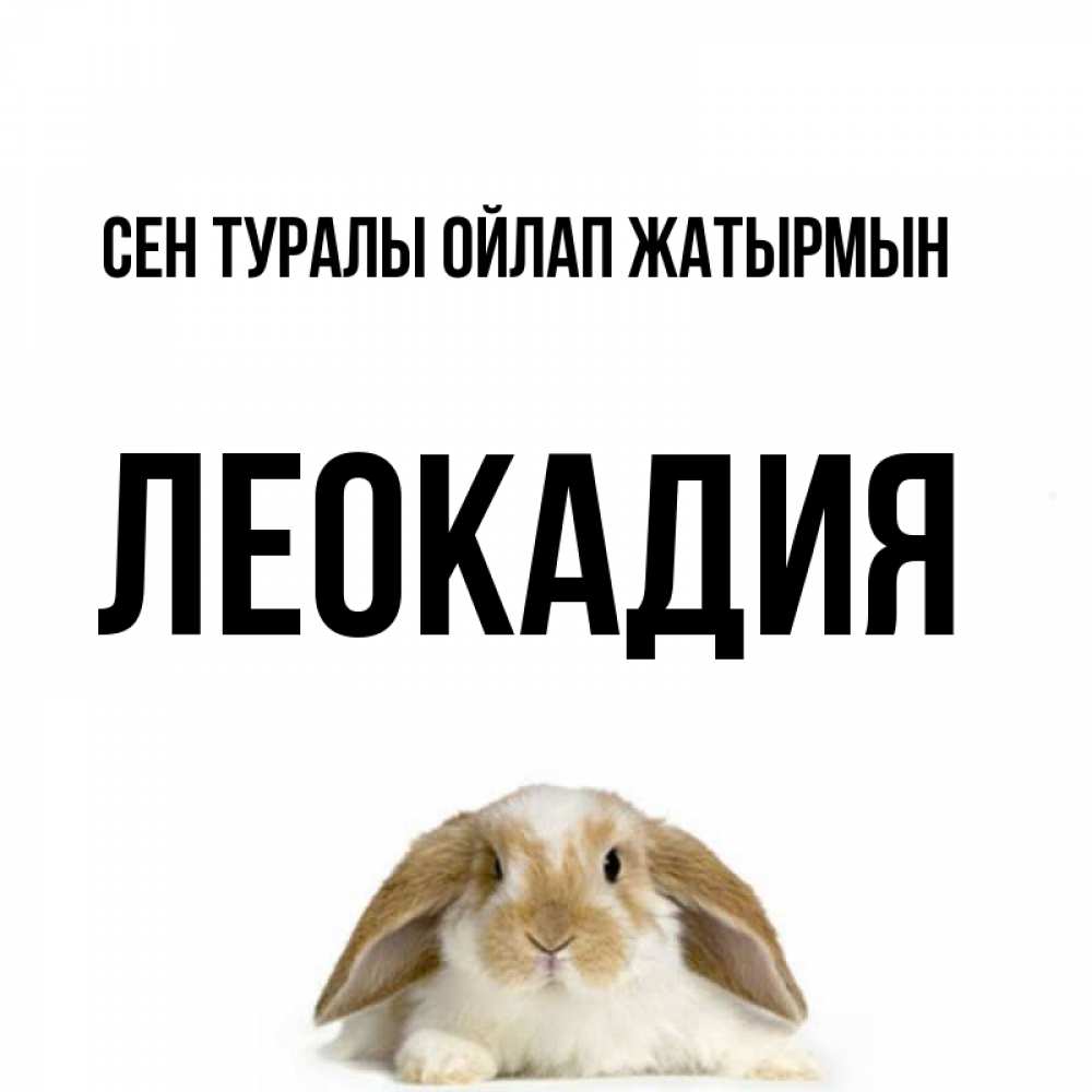 Күн сайын ашық хат с именем, Леокадия Сен туралы ойлап жатырмын подписать своими руками онлайн Онлайн тегін жүктеп алу тілектері бар керемет карта 