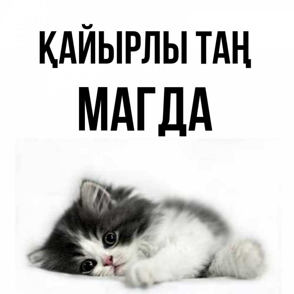 Күн сайын ашық хат с именем, Магда Қайырлы таң кот лапки Онлайн тегін жүктеп алу тілектері бар керемет карта 