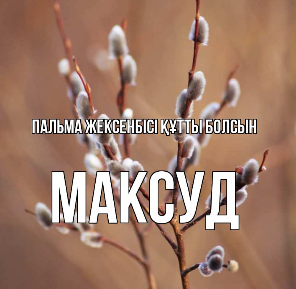 Күн сайын ашық хат с именем, Максуд Пальма жексенбісі құтты болсын верба Онлайн тегін жүктеп алу тілектері бар керемет карта 