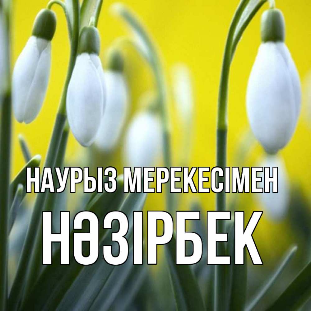 Күн сайын ашық хат с именем, НӘЗІРБЕК Наурыз мерекесімен весенние цветы Онлайн тегін жүктеп алу тілектері бар керемет карта 