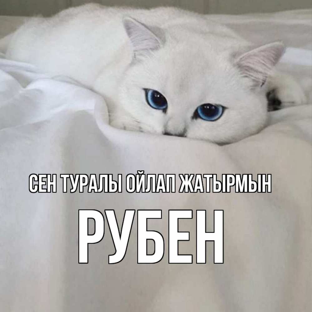 Күн сайын ашық хат с именем, Рубен Сен туралы ойлап жатырмын я очень по тебе скучаю и тоскую Онлайн тегін жүктеп алу тілектері бар керемет карта 