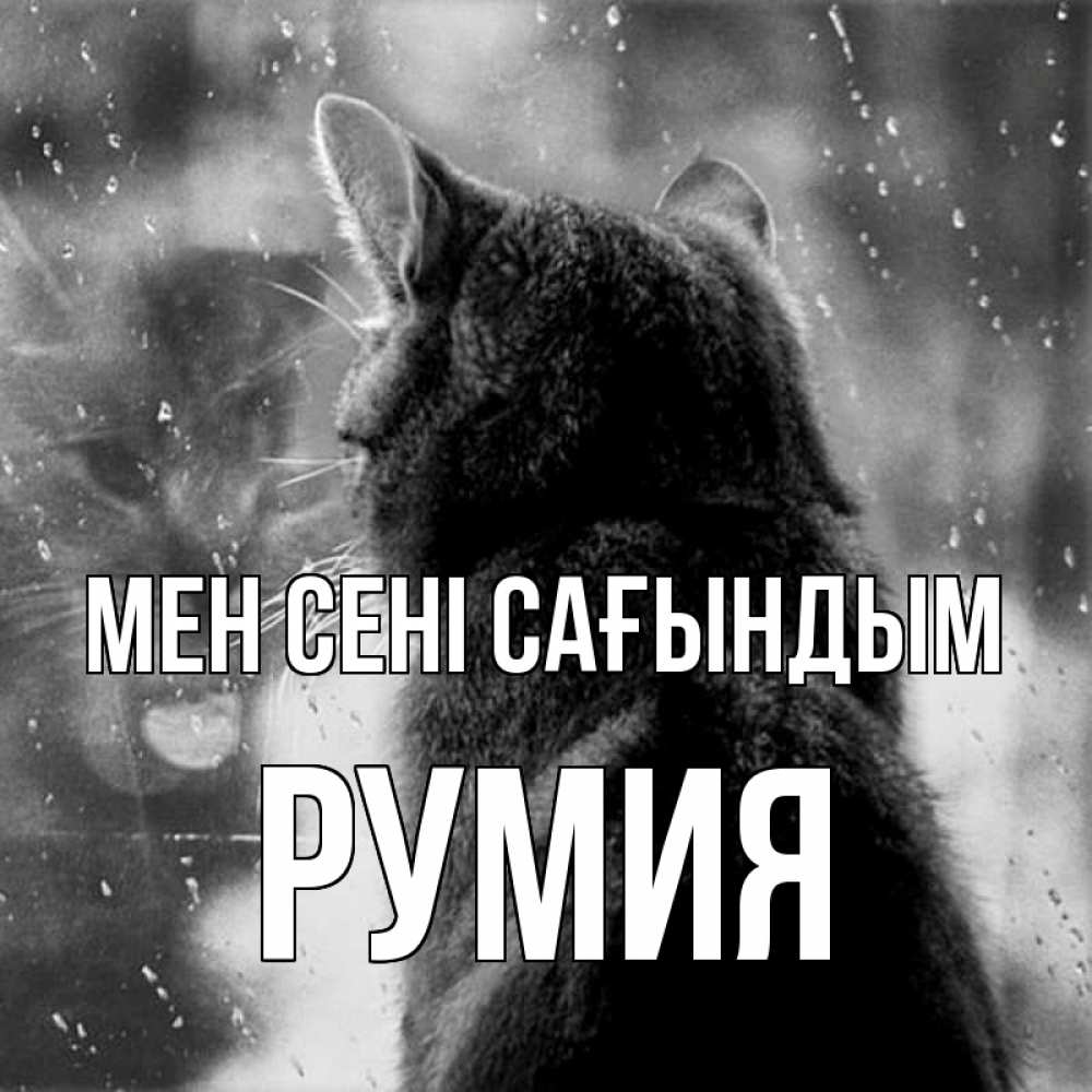 Күн сайын ашық хат с именем, Румия Мен сені сағындым скорее ко мне приходи 1 Онлайн тегін жүктеп алу тілектері бар керемет карта 
