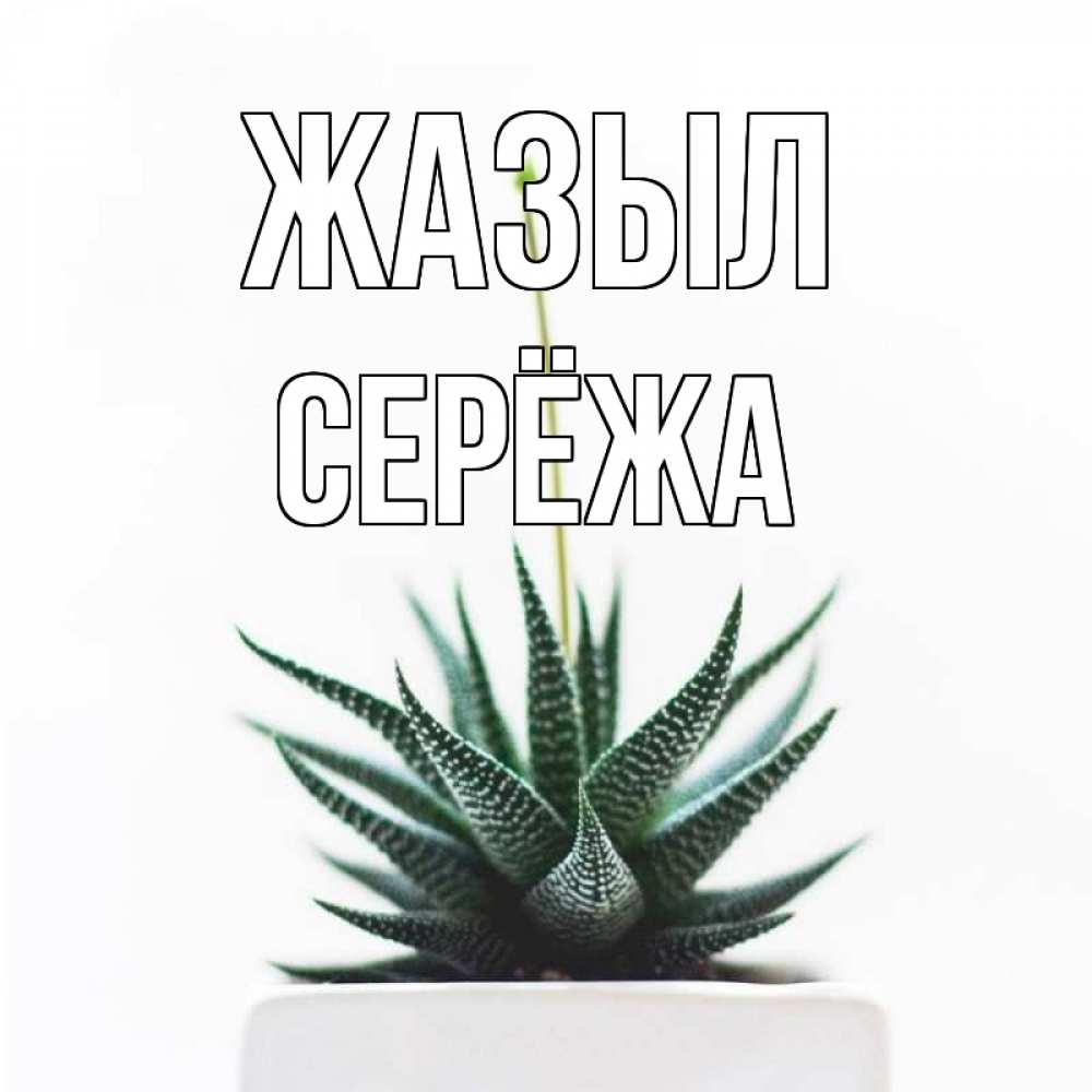 Күн сайын ашық хат с именем, Серёжа Жазыл короче это непонятная колючка Онлайн тегін жүктеп алу тілектері бар керемет карта 