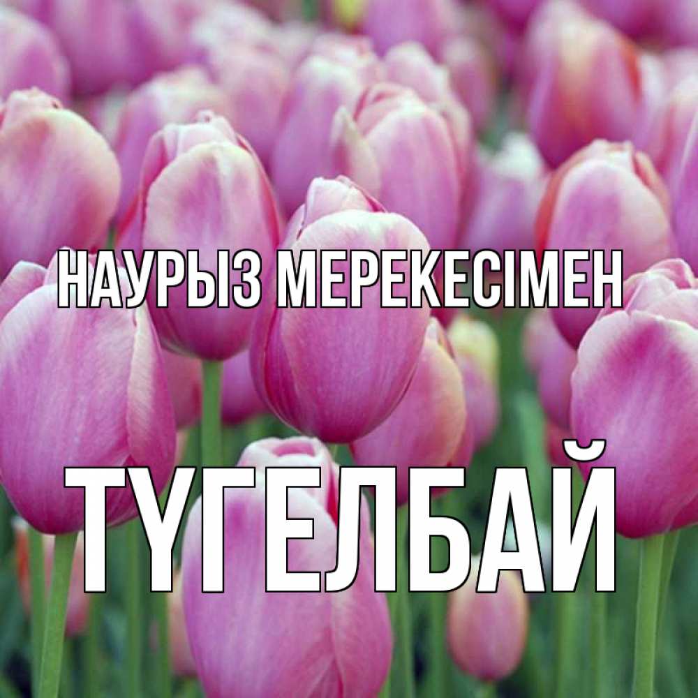 Күн сайын ашық хат с именем, ТҮГЕЛБАЙ Наурыз мерекесімен праздник весны наурыз 69 Онлайн тегін жүктеп алу тілектері бар керемет карта 