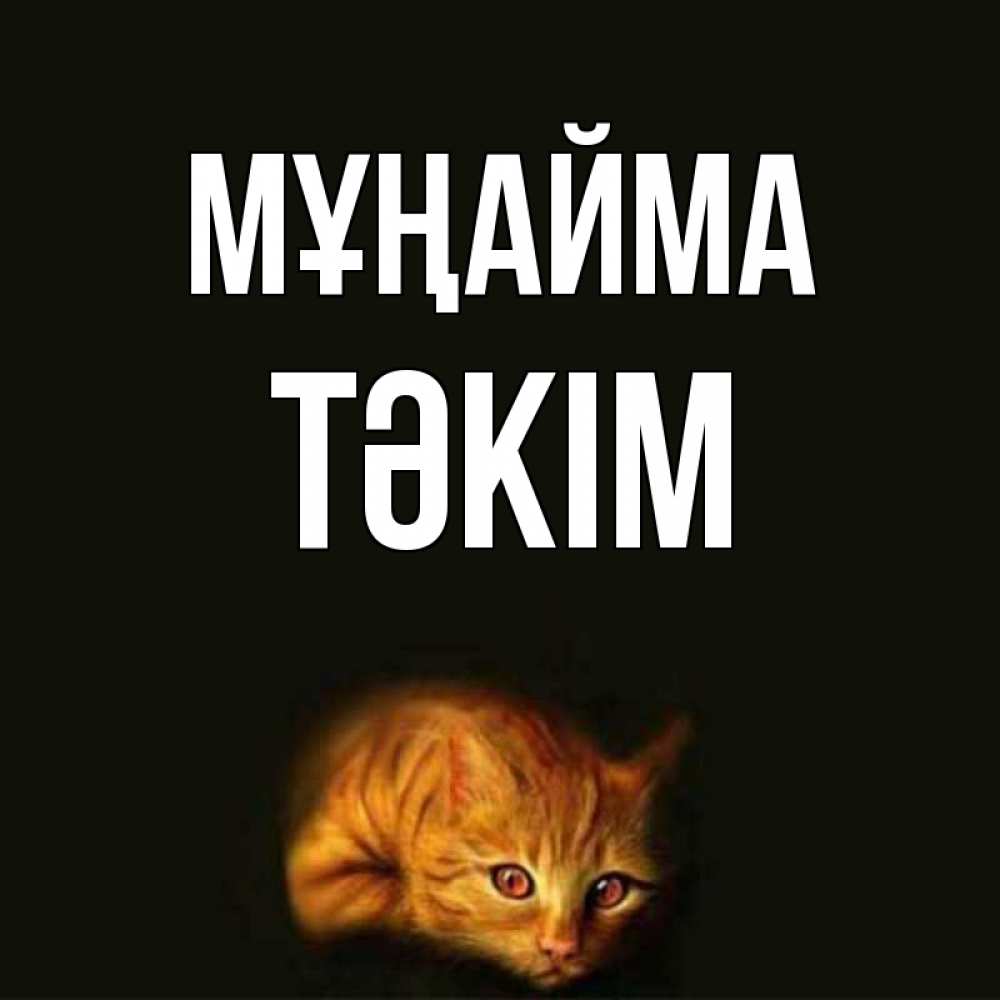 Күн сайын ашық хат с именем, ТӘКІМ Мұңайма лежащий кот в темноте Онлайн тегін жүктеп алу тілектері бар керемет карта 