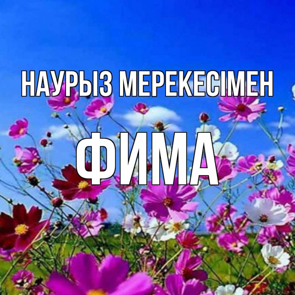 Күн сайын ашық хат с именем, Фима Наурыз мерекесімен цветы Онлайн тегін жүктеп алу тілектері бар керемет карта 
