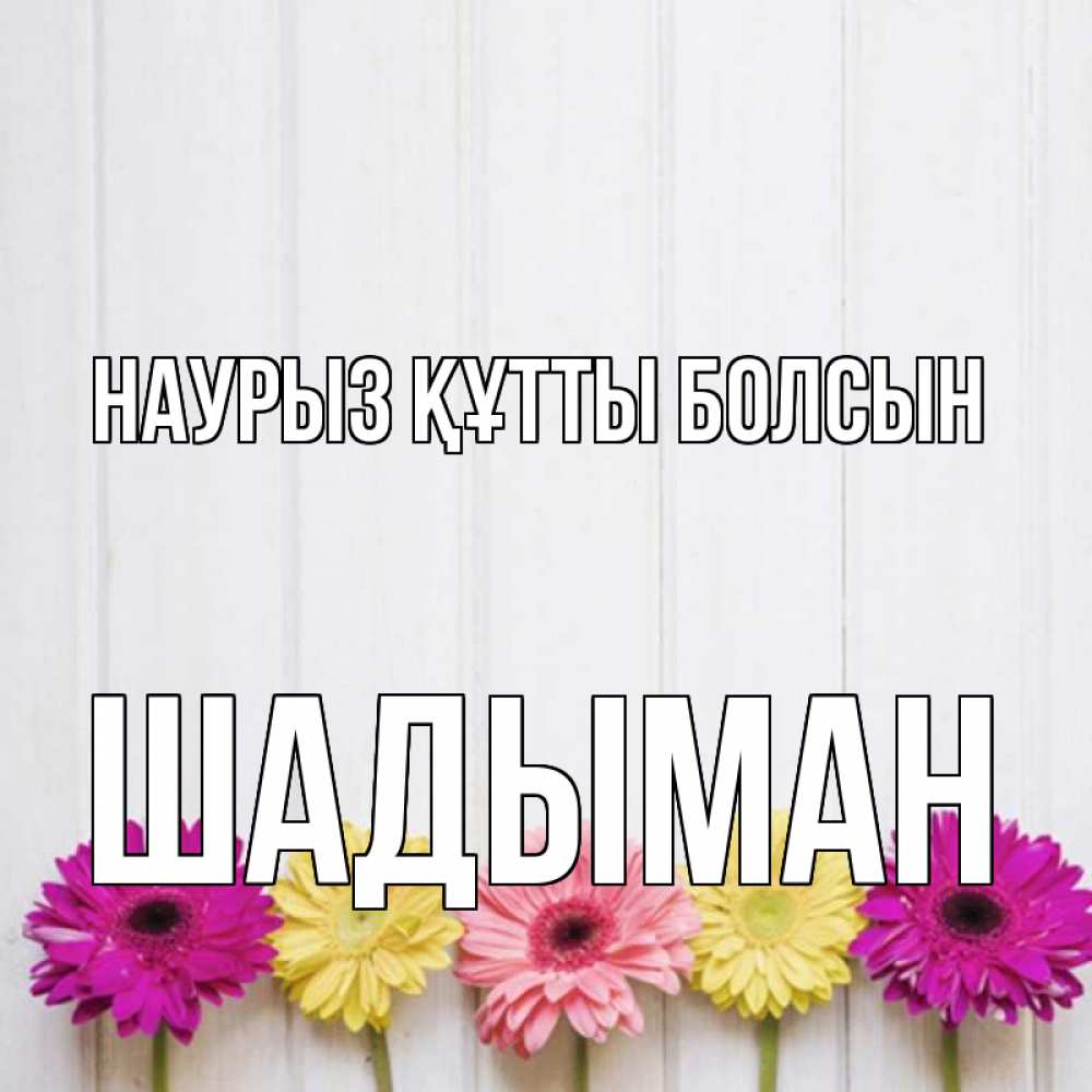 Күн сайын ашық хат с именем, ШАДЫМАН Наурыз құтты болсын женщинам 1 Онлайн тегін жүктеп алу тілектері бар керемет карта 