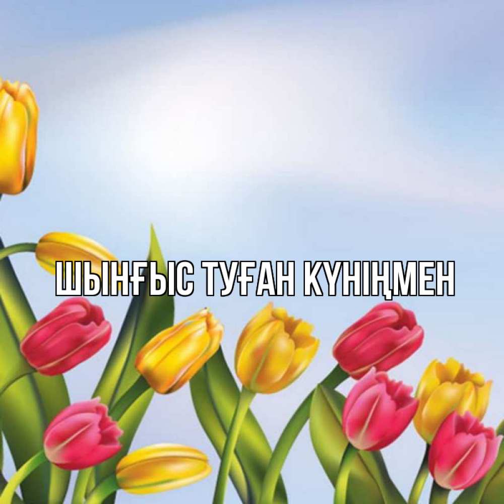 Күн сайын ашық хат с именем, ШЫНҒЫС-ТУҒАН-КҮНІҢМЕН Главная международный женский день Онлайн тегін жүктеп алу тілектері бар керемет карта 