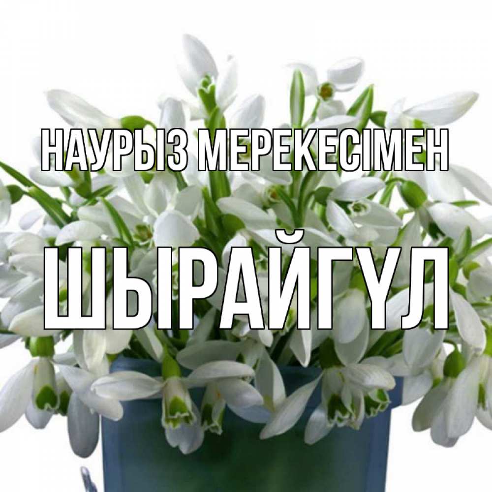Күн сайын ашық хат с именем, ШЫРАЙГҮЛ Наурыз мерекесімен цветы к наурызу новый год в Казахстане Онлайн тегін жүктеп алу тілектері бар керемет карта 