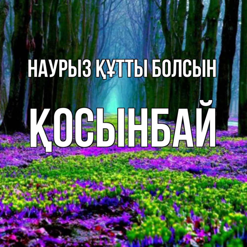 Күн сайын ашық хат с именем, ҚОСЫНБАЙ Наурыз құтты болсын фиолетовые цветы в лесу 1 Онлайн тегін жүктеп алу тілектері бар керемет карта 