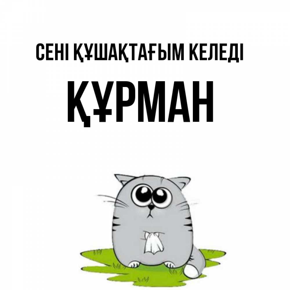 Күн сайын ашық хат с именем, ҚҰРМАН сені құшақтағым келеді котик теребит платочек сидя на травке Онлайн тегін жүктеп алу тілектері бар керемет карта 