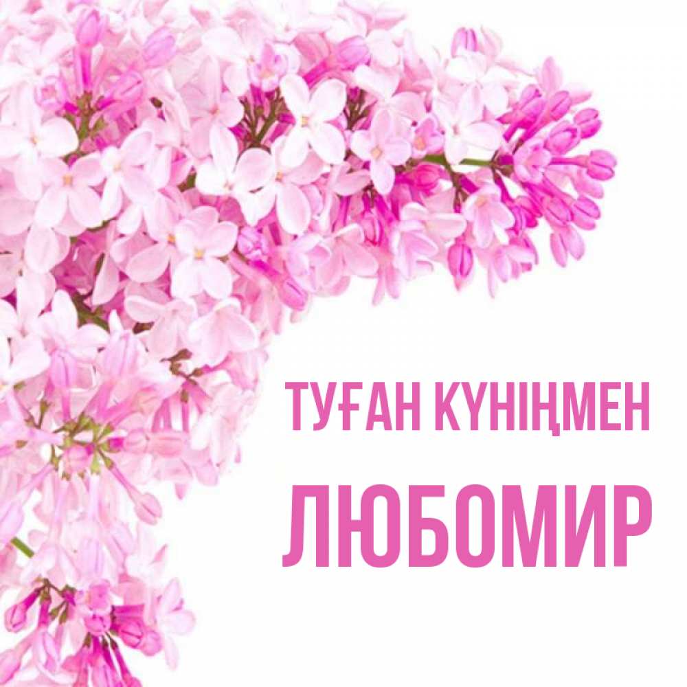Күн сайын ашық хат с именем, Любомир Туған күніңмен Сирень на белом фоне Онлайн тегін жүктеп алу тілектері бар керемет карта 