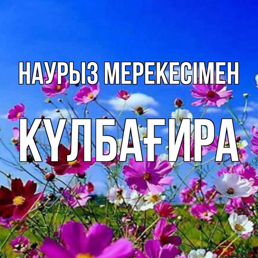 Күн сайын ашық хат с именем, КҮЛБАҒИРА Наурыз мерекесімен цветы Онлайн тегін жүктеп алу тілектері бар керемет карта 