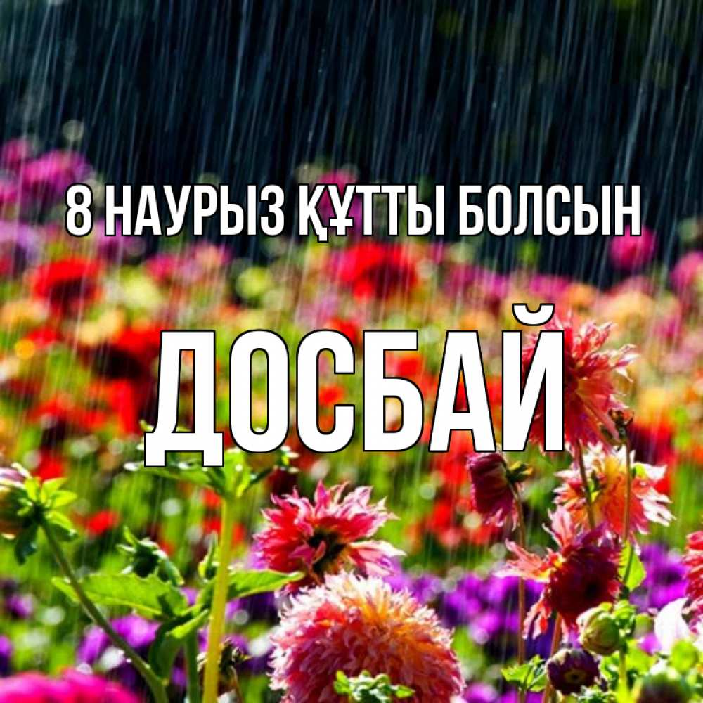 Күн сайын ашық хат с именем, Досбай 8 наурыз құтты болсын цветы под дождиком к международному женскому дню Онлайн тегін жүктеп алу тілектері бар керемет карта 