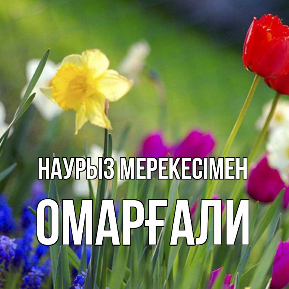 Күн сайын ашық хат с именем, ОМАРҒАЛИ Наурыз мерекесімен праздник весны наурыз 3 Онлайн тегін жүктеп алу тілектері бар керемет карта 