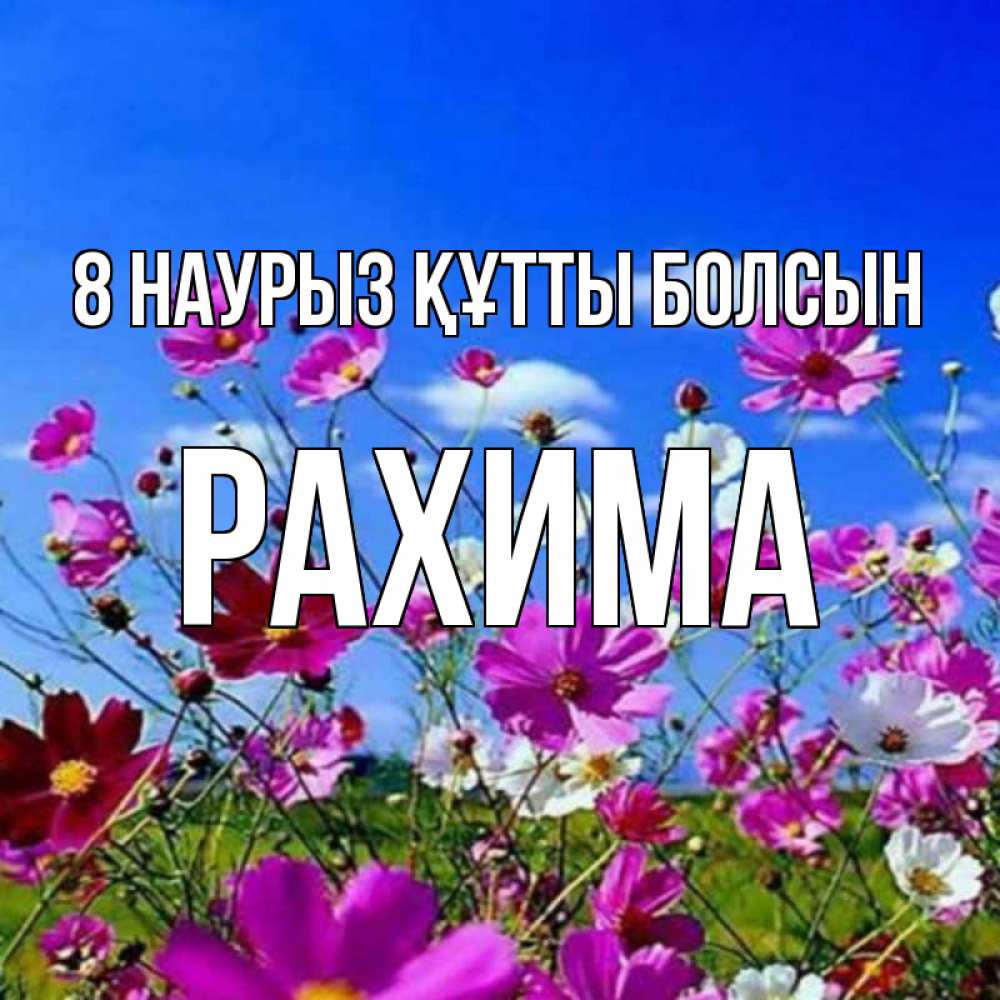 Күн сайын ашық хат с именем, РАХИМА 8 наурыз құтты болсын цветы Онлайн тегін жүктеп алу тілектері бар керемет карта 