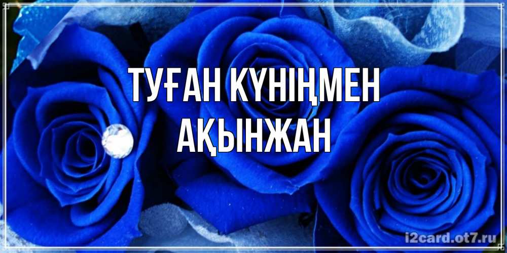 Күн сайын ашық хат с именем, Ақынжан Туған күніңмен синие розы в росе Онлайн тегін жүктеп алу тілектері бар керемет карта 