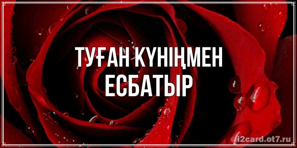 Күн сайын ашық хат с именем, Есбатыр Туған күніңмен крупная бордовая роза Онлайн тегін жүктеп алу тілектері бар керемет карта 