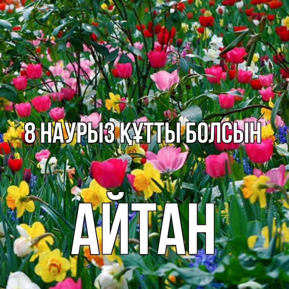 Күн сайын ашық хат с именем, Айтан 8 наурыз құтты болсын с международным женским днем поздравления для женщины Онлайн тегін жүктеп алу тілектері бар керемет карта 