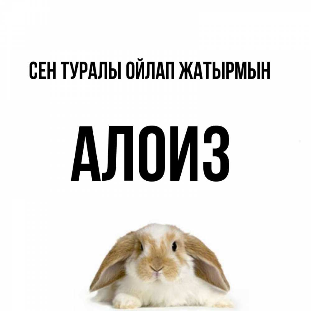 Күн сайын ашық хат с именем, Алоиз Сен туралы ойлап жатырмын подписать своими руками онлайн Онлайн тегін жүктеп алу тілектері бар керемет карта 