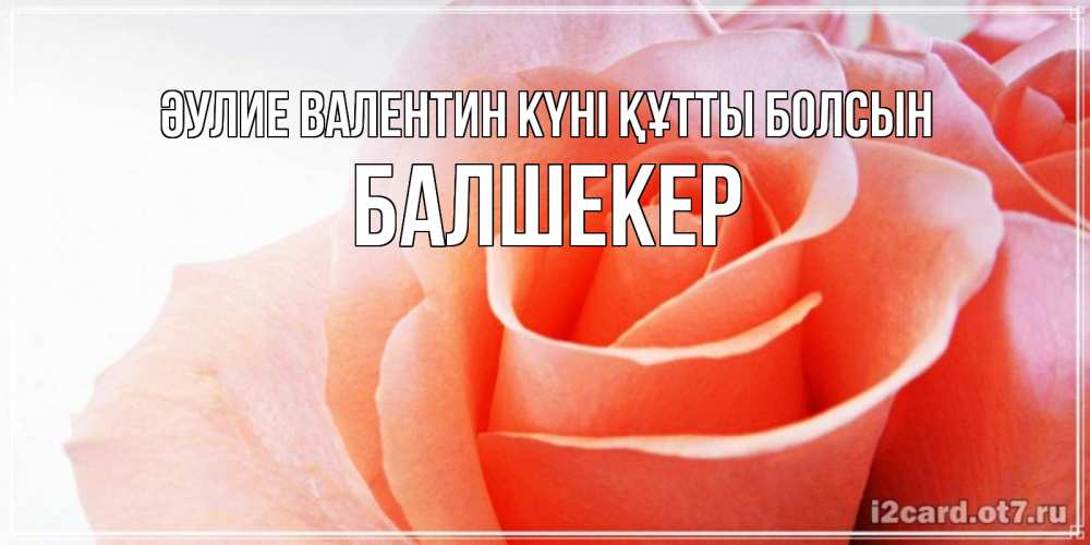 Күн сайын ашық хат с именем, БАЛШЕКЕР Әулие Валентин күні құтты болсын открытка на день Святого Валентина с розовой розой Онлайн тегін жүктеп алу тілектері бар керемет карта 