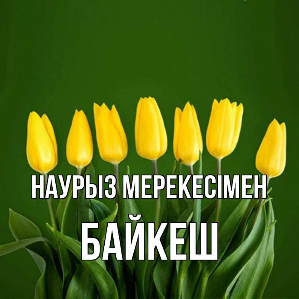 Күн сайын ашық хат с именем, Байкеш Наурыз мерекесімен желтого цвета 3 Онлайн тегін жүктеп алу тілектері бар керемет карта 