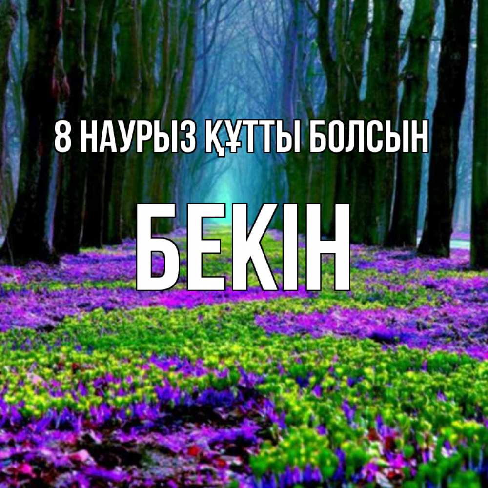 Күн сайын ашық хат с именем, Бекін 8 наурыз құтты болсын фиолетовые цветы в лесу 1 Онлайн тегін жүктеп алу тілектері бар керемет карта 