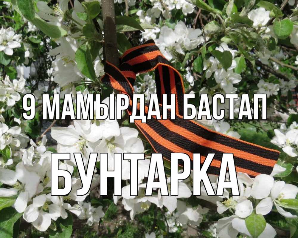 Күн сайын ашық хат с именем, Бунтарка 9 мамырдан бастап 9 мая Онлайн тегін жүктеп алу тілектері бар керемет карта 