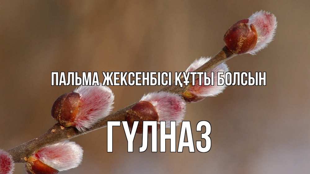Күн сайын ашық хат с именем, ГҮЛНАЗ Пальма жексенбісі құтты болсын верба Онлайн тегін жүктеп алу тілектері бар керемет карта 