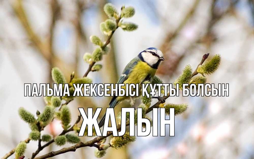 Күн сайын ашық хат с именем, Жалын Пальма жексенбісі құтты болсын верба Онлайн тегін жүктеп алу тілектері бар керемет карта 