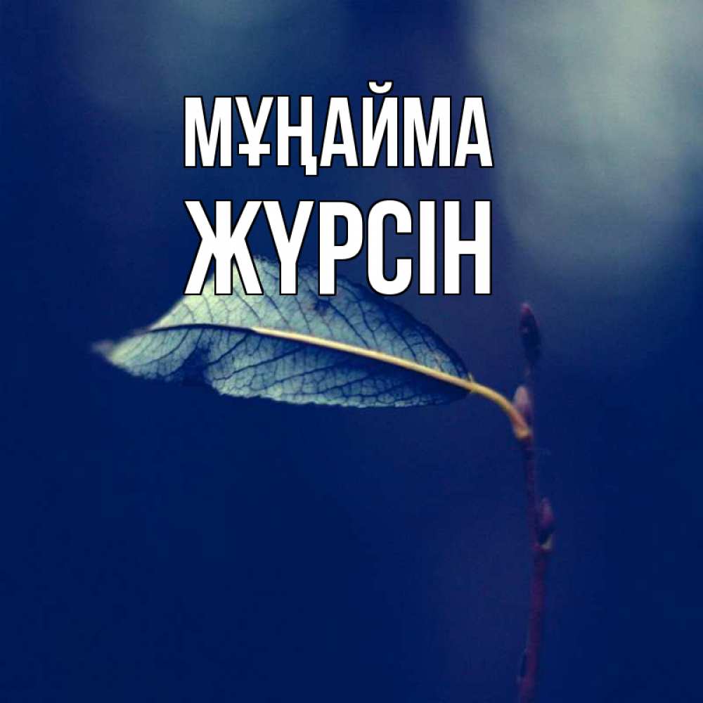 Күн сайын ашық хат с именем, Жүрсін Мұңайма растение Онлайн тегін жүктеп алу тілектері бар керемет карта 
